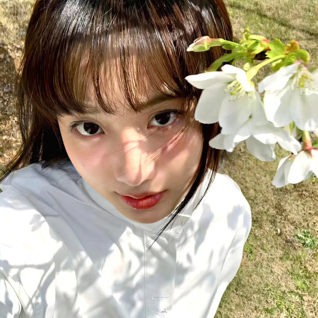 狮子王们的夏天
