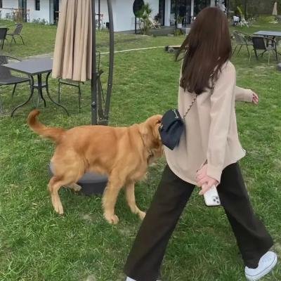 边缘世界第一季