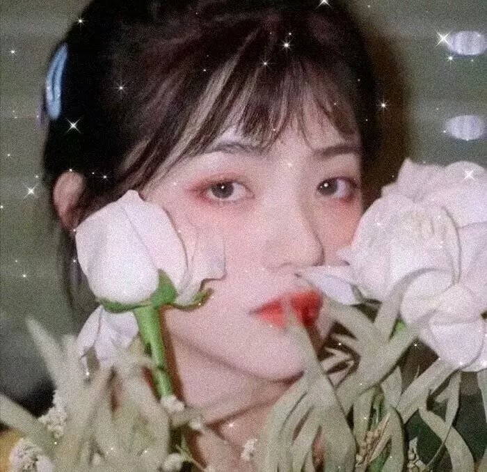 游击队员强尼